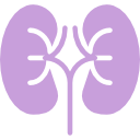urologia
